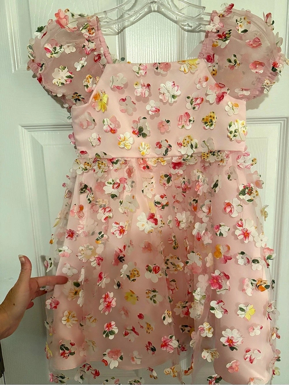 Rare Editions 3D Floral Embroidered Mesh Party Dress Girls 6